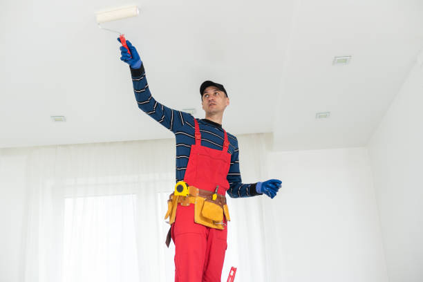 Best Water-Damaged Drywall Repair  in Pine Bluffs, WY